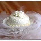 Sm Wed cake enchancedWTMK.jpg