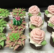 Screen Shot 2021-02-16 at 7.04.06 PM